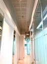 Image Caption